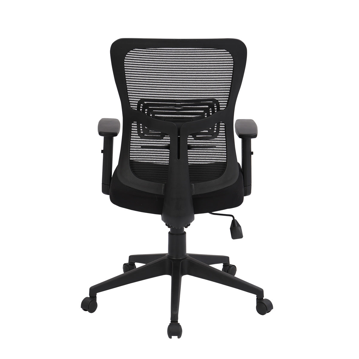 Sky Ergonomic Office Chair Mid Back - Back View