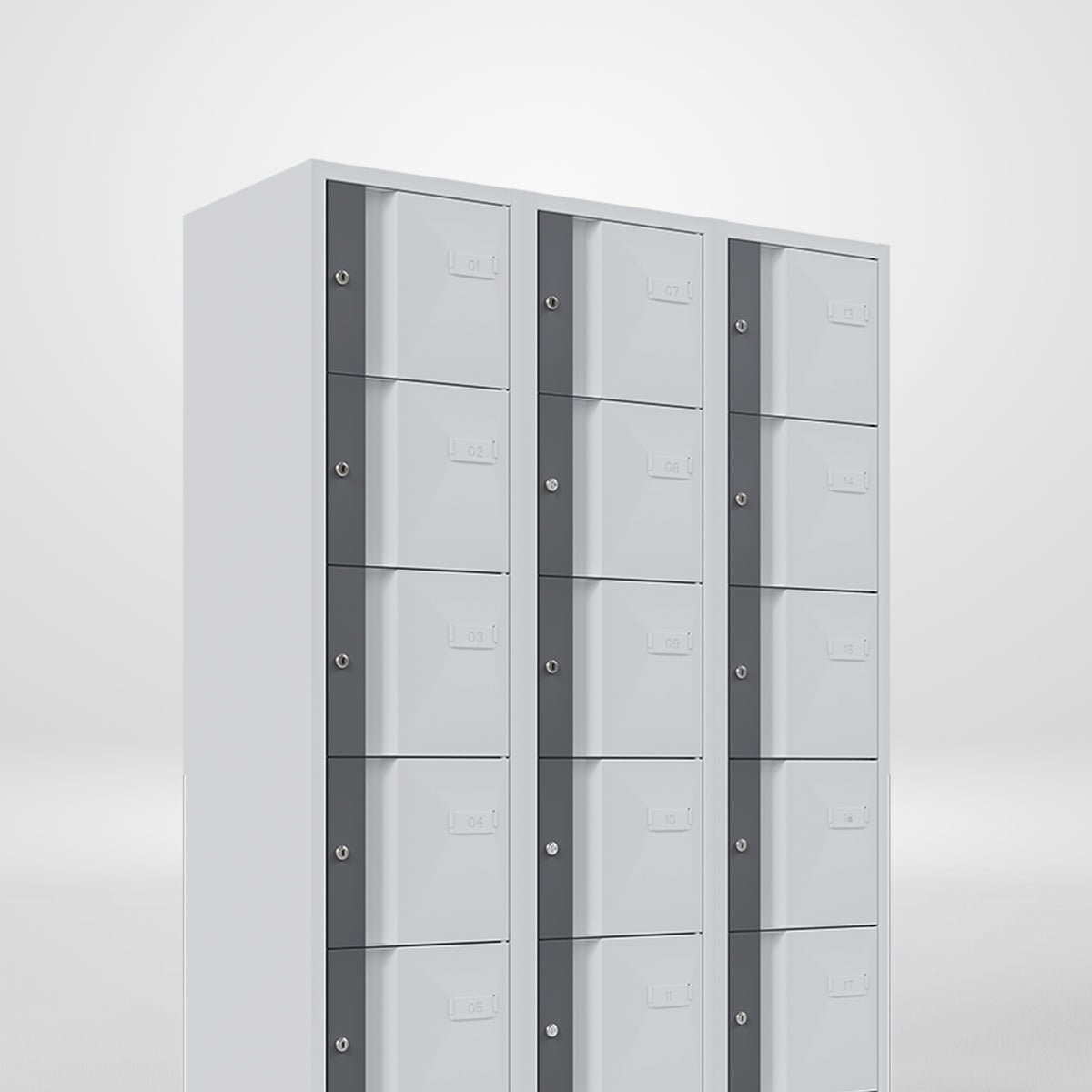 Vault Personal Locker Unit Storage