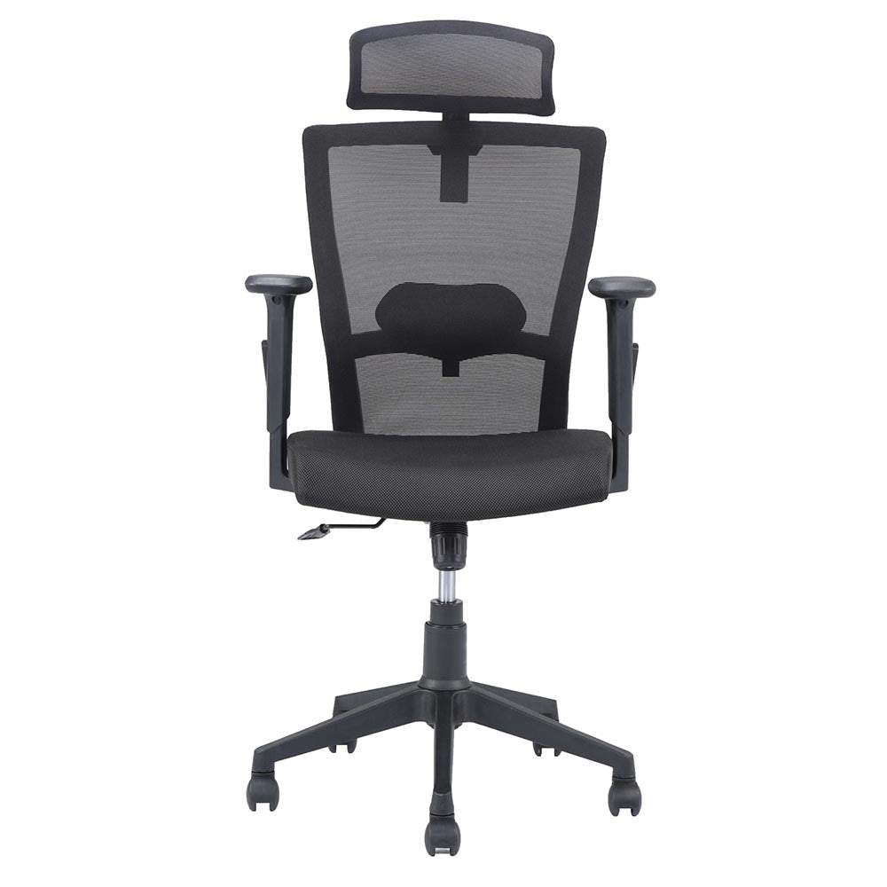 Hexon Office Chair Mesh High Back with Adjustable Armrest