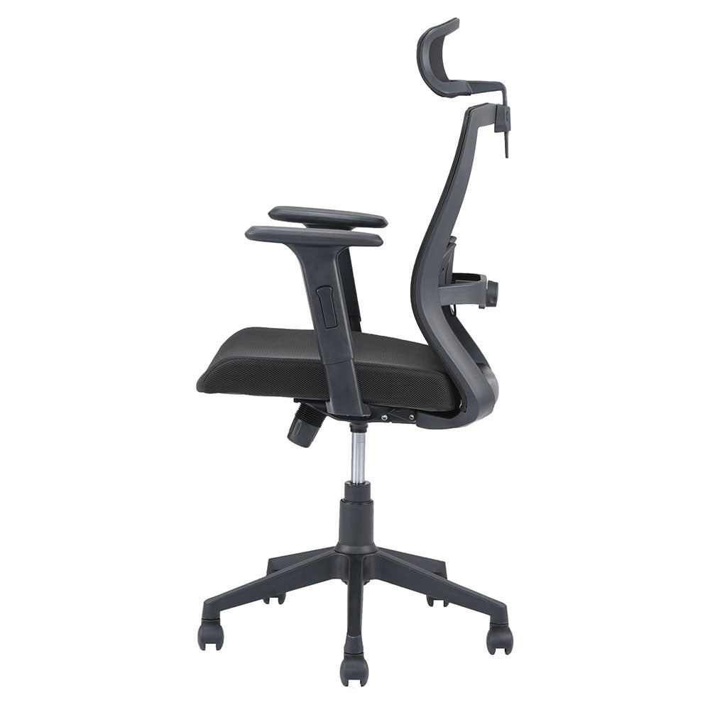 Hexon Office Chair Mesh High Back with Adjustable Armrest
