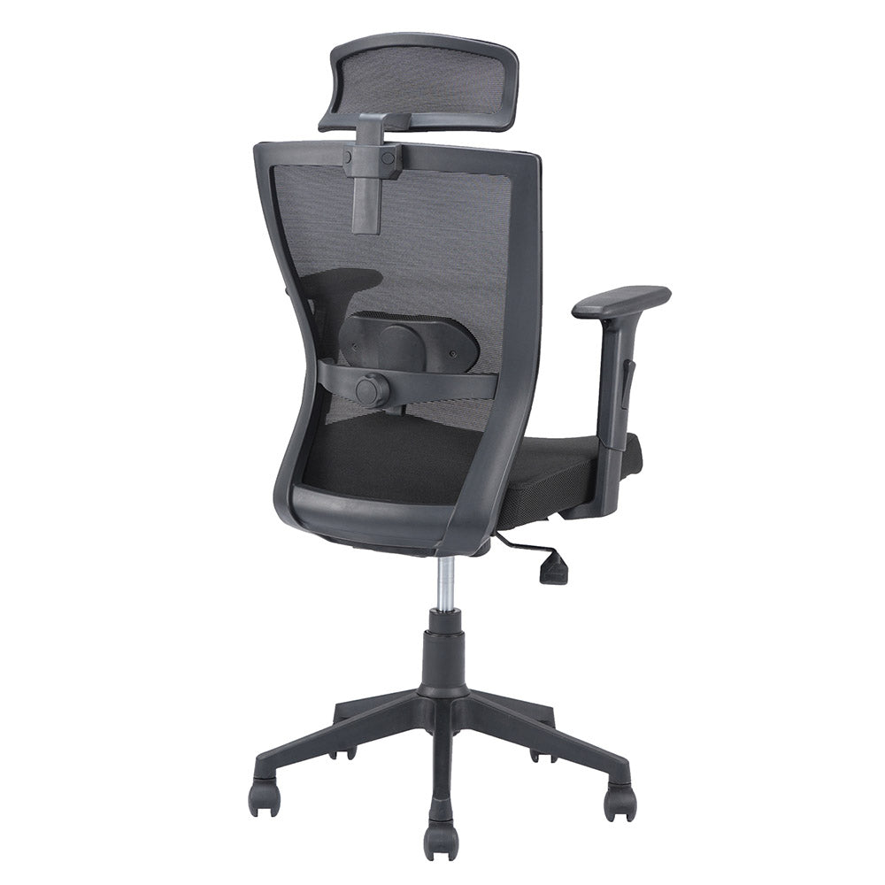 Hexon Office Chair Mesh High Back with Adjustable Armrest
