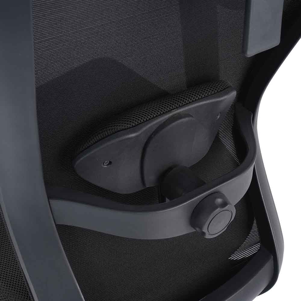 Hexon Office Chair Mesh High Back with Adjustable Armrest